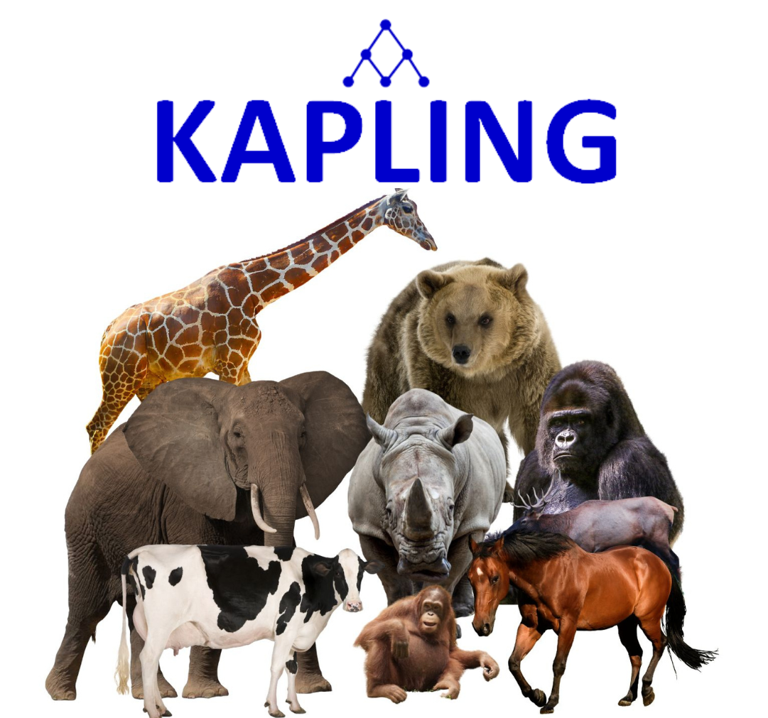 Ilustrasi Profesional Perhitungan Peternakan - Kalkulator Inbreeding untuk Hewan Monoparous